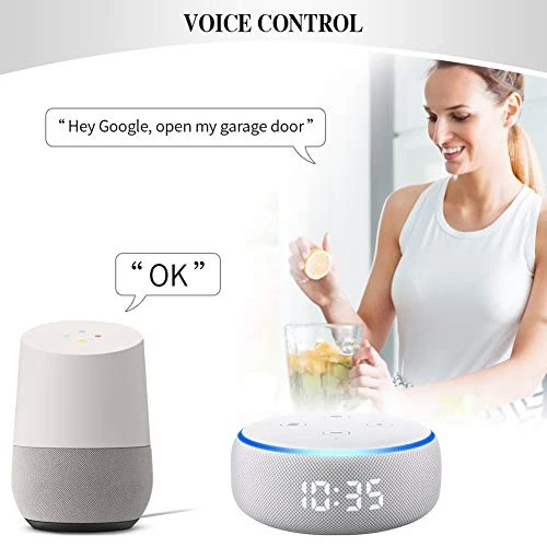 Wi-Fi Garage Door Opener Remote — Keypads & Remotes, RAQUEL