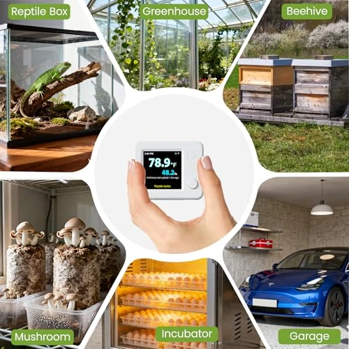 WiFi Reptile Hygrometer Indoor Thermometer — Hygrometers, MOCREO