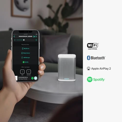 Concert Wi-Fi Bluetooth Smart Hi-Fi Speaker — Portable Audio, RIVA