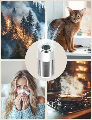 Smart Air Purifier for Large Rooms — Activated Carbon Air Purifiers, GoveeLife