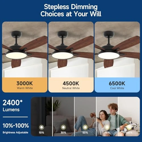 Smart Ceiling Fan with Light — Ceiling Fans & Accessories, Roomratv