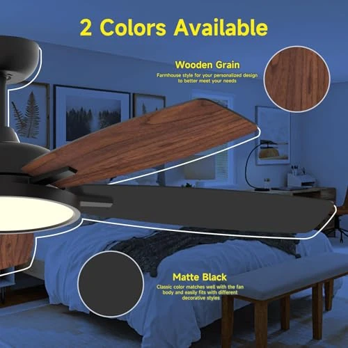 Smart Ceiling Fan with Light — Ceiling Fans & Accessories, Roomratv