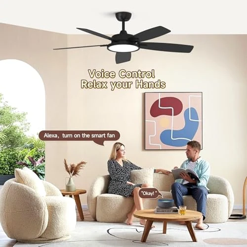 Smart Ceiling Fan with Light — Ceiling Fans & Accessories, Roomratv