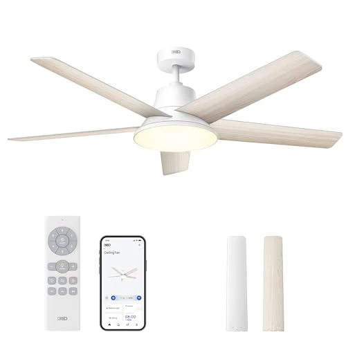 Smart Ceiling Fan with Lights — Ceiling Fan Wall Controls, Dreo