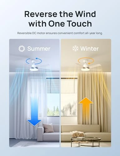 Smart Ceiling Fan with Lights — Ceiling Fan Wall Controls, Dreo
