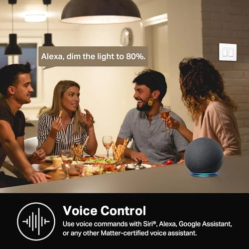 Smart Dimmer Switch 2-Gang — Light Dimmers, Kasa Smart