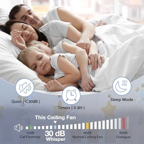 Smart Low Profile Ceiling Fan with Lights — Ceiling Fans & Accessories, Hoenofly