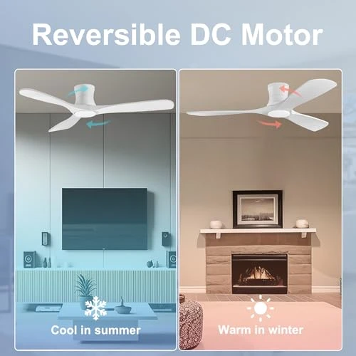 Smart Low Profile Ceiling Fan with Lights — Ceiling Fans & Accessories, Hoenofly
