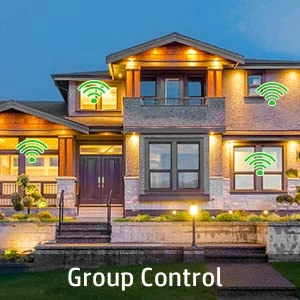 Smart Switch with App and Remote Control — Dimmer Switches, Avatar Controls