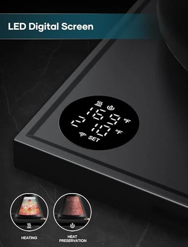 Electric Kettle with Precise Temperature Control — Kettles & Tea Machines, INTASTING