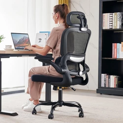 Ergonomic Desk Chair with Lumbar Support — Desk Chairs, TRALT