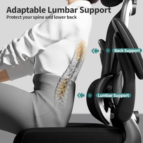 Ergonomic Desk Chair with Lumbar Support — Desk Chairs, TRALT
