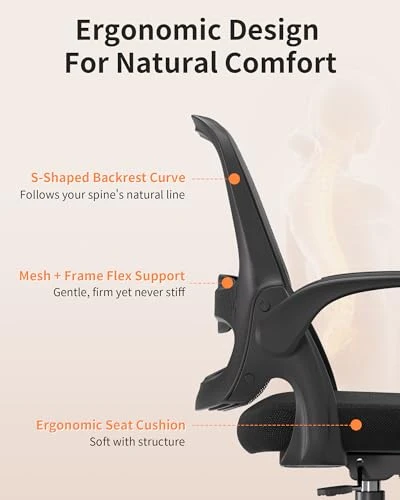 Mesh Office Chair with Flip-Up Arms, Adjustable Height, Breathable Mesh Back, Thick Cushion Seat, 360° Swivel Rolling... — Desk Chairs, LukkDys