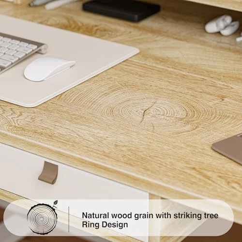 Electric Standing Desk with 4 Drawers and Storage Shelf — Office, Grandder