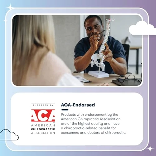 Executive Office Chair with Ergonomic Support and Adjustable Features — Desk Chairs, Serta