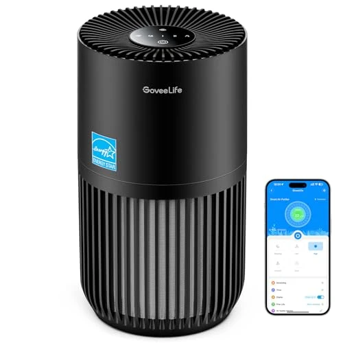 Mini Air Purifier for Bedroom — Activated Carbon Air Purifiers, GoveeLife