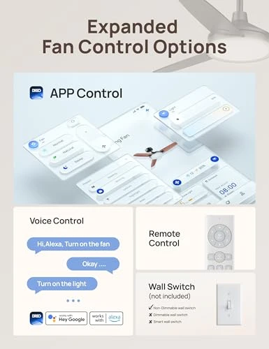 Smart Ceiling Fan with Lights — Ceiling Fans, Dreo
