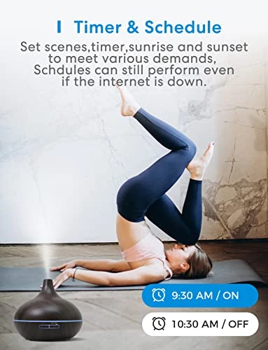 Smart WiFi Essential Oil Diffuser and Mist Humidifier — Diffusers, meross