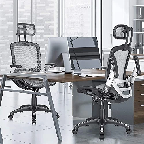 Ergonomic Office Chair with Headrest, Flip-Up Arms, Tilt Lock, and Wide Cushion — Desk Chairs, GABRYLLY