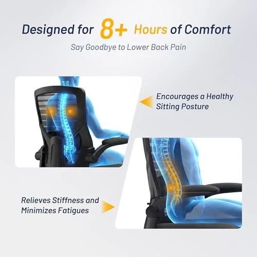 Office Desk Chair for Long Hours & Lower Back Pain Relief — Desk Chairs, QLTPLUS