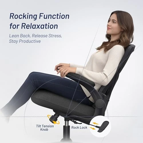 Office Desk Chair for Long Hours & Lower Back Pain Relief — Desk Chairs, QLTPLUS