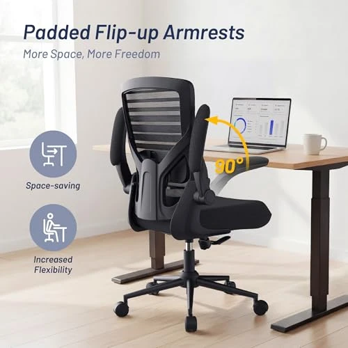 Office Desk Chair for Long Hours & Lower Back Pain Relief — Desk Chairs, QLTPLUS