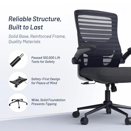 Office Desk Chair for Long Hours & Lower Back Pain Relief — Desk Chairs, QLTPLUS