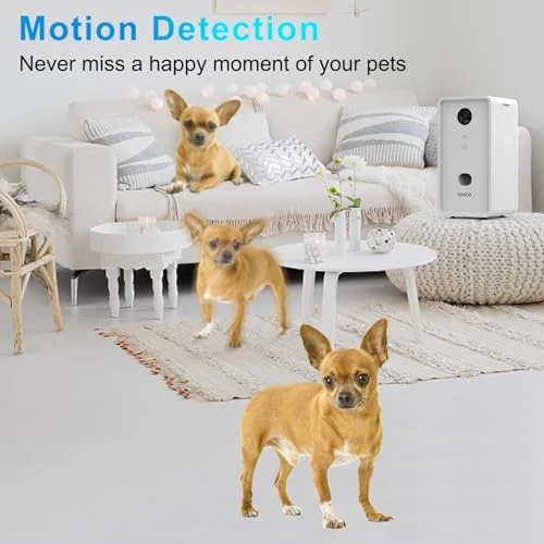 Pet Camera Treat Dispenser — Cameras & Monitors, Iseebiz
