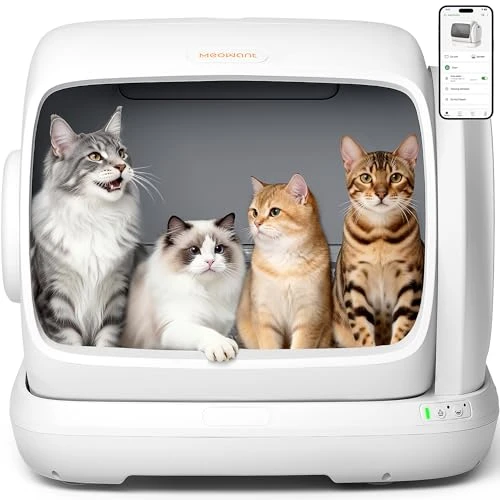Self-Cleaning Cat Litter Box — Self-Cleaning, Meowant