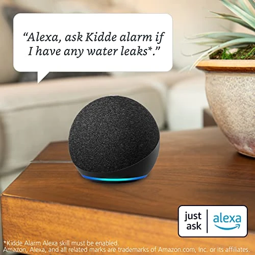 WiFi Water Leak Detector & Freeze Alarm — Gas & CO Detectors, Kidde