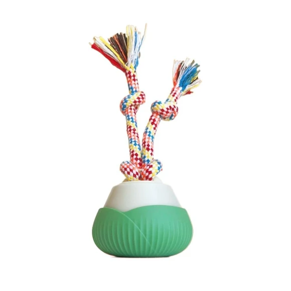 Rechargeable Interactive Dog Ball — Automatic Launchers, SoleVibe Shoes