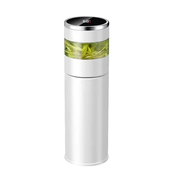 Stainless Steel Smart Bottle with Temperature Display — Carafes & Pitchers, GYROBALL