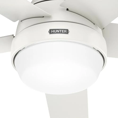 Indoor Ceiling Fan With Light, Remote, 60-inch, Fresh White, Casual-style — Ceiling Fans & Accessories, Hunter