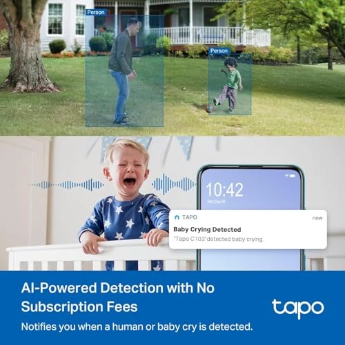 Indoor/Outdoor Pan/Tilt Wired Security Camera — Dome Surveillance Cameras, Tapo