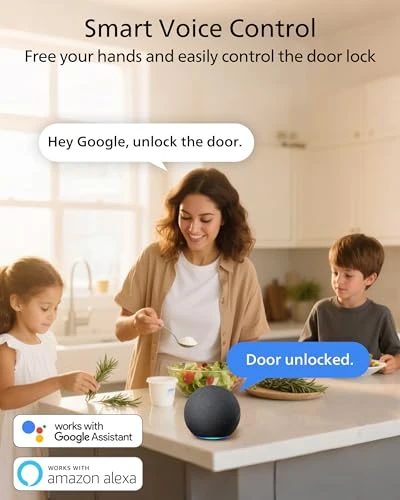 Wi-Fi Smart Door Lock Deadbolt with Handle Set — Electromagnetic Security Locks, Philips