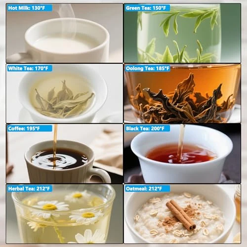 Electric Kettle with Temperature Control — Kettles & Tea Machines, QSLKING