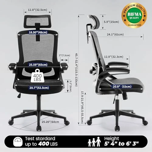 Ergonomic Office Chair with Adjustable Lumbar Support and Headrest — Desk Chairs, Fizzin