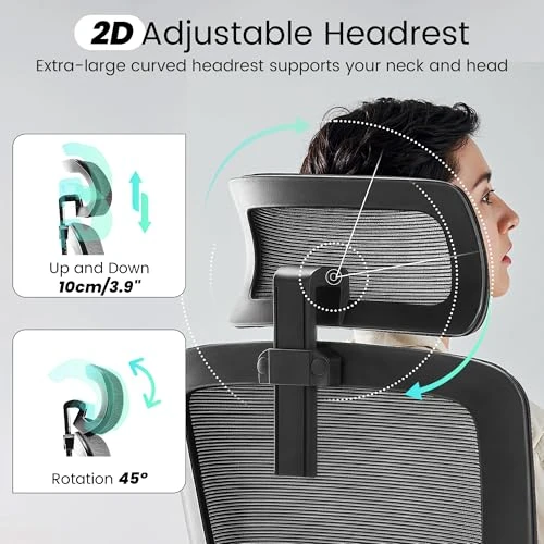 Ergonomic Office Chair with Adjustable Lumbar Support and Headrest — Desk Chairs, Fizzin