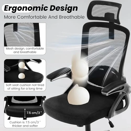 Ergonomic Office Chair with Adjustable Lumbar Support and Headrest — Desk Chairs, Fizzin