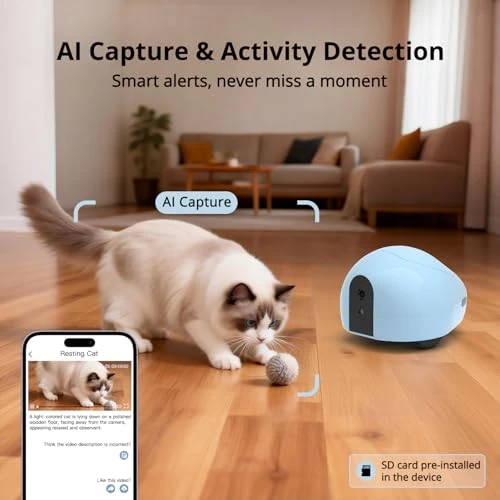 Pet Camera Robot with Treat Dispenser & Laser Toy — Cameras & Monitors, pumpkii