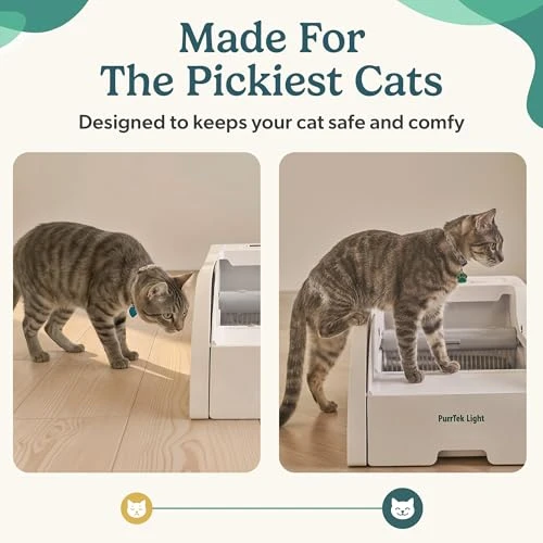 Self Cleaning Litter Box with Auto Safety Sensors — Waste Bins, PetCove