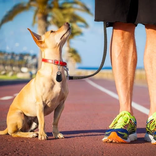 Portable GPS Tracking Anti Loss Smart Device Key Finder Locator — Item Locators, Flutesan