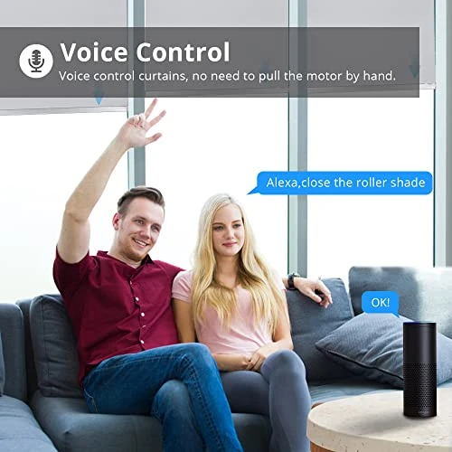 Smart Blinds Motor for Tubular Roller Shades — Top Motor, Blindsmart