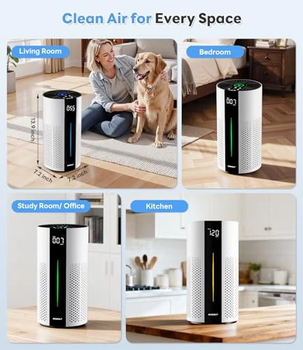 Air Purifier for Large Rooms — Activated Carbon Air Purifiers, ECOSELF