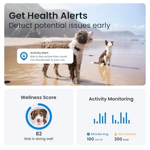 GPS Dog Tracker — Trackers, Tractive