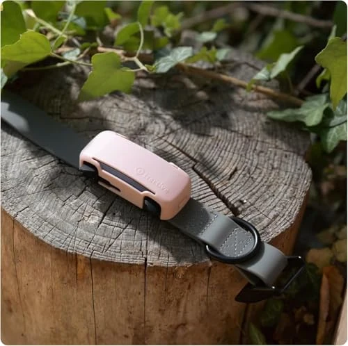 GPS Dog Tracker — Trackers, Tractive