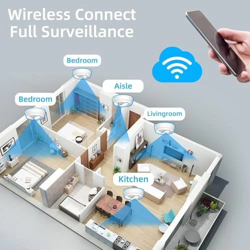 Hidden Camera Smoke Detector — Outdoor Security Cameras, LIZVIE