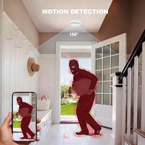 Hidden Camera Smoke Detector — Outdoor Security Cameras, LIZVIE