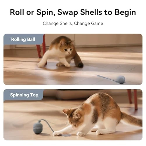 Interactive Cat Toy Ball with Interchangeable Shells — Cat Playthings, Cheerble