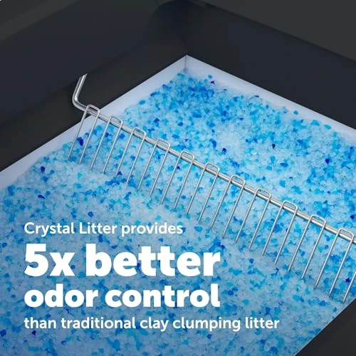 Self-Cleaning Cat Litter Box System with Enclosed Front-Entry — Training Systems, PetSafe